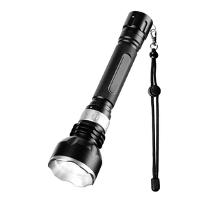 Helius DV30 Diving Light