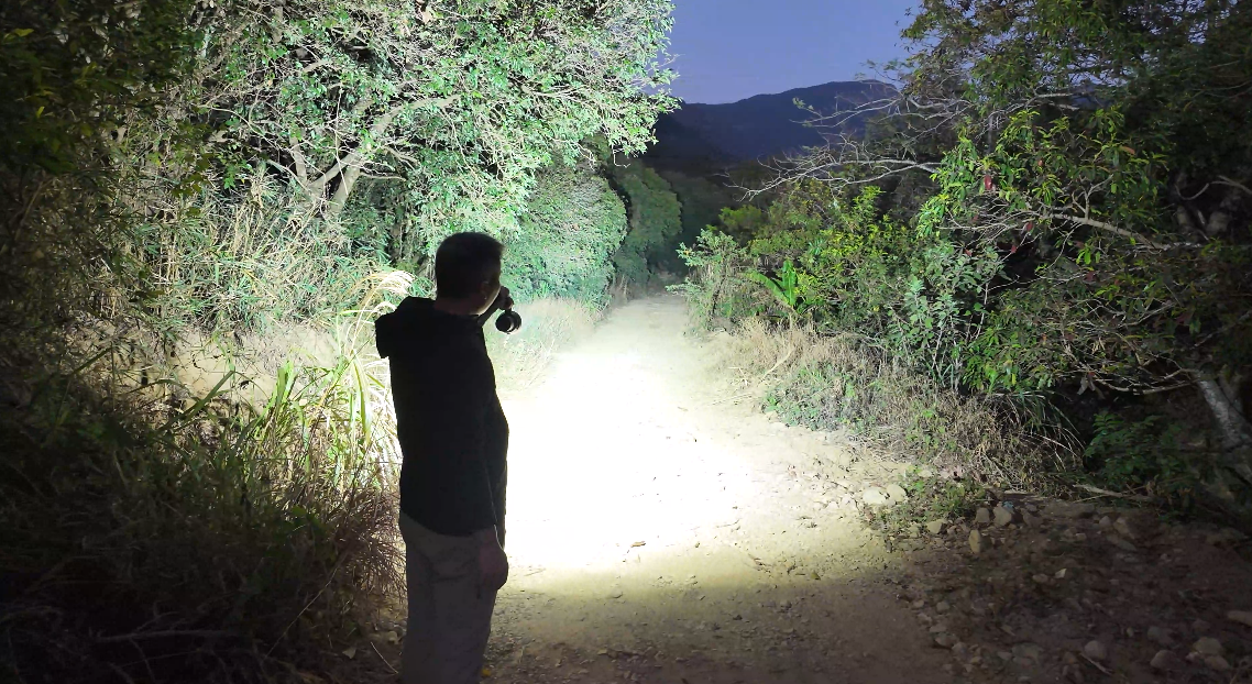 helius search light wholesale