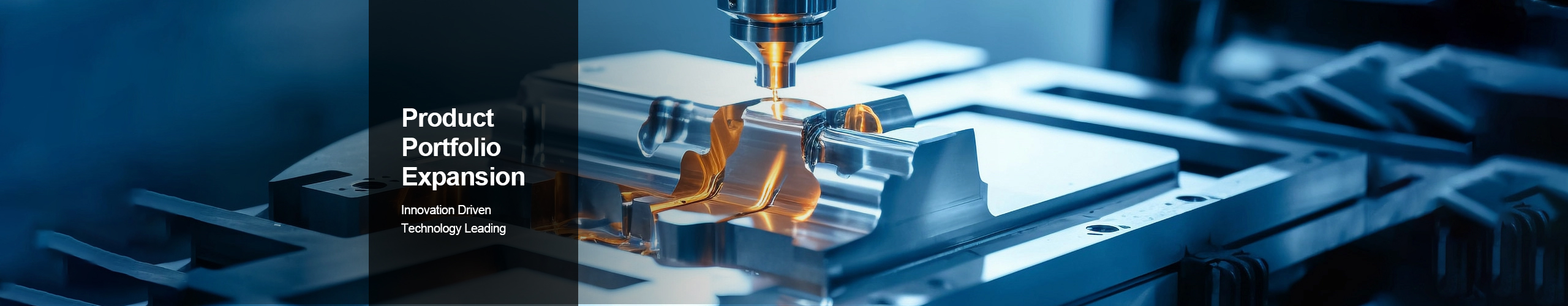 Product Portfolio Expansion