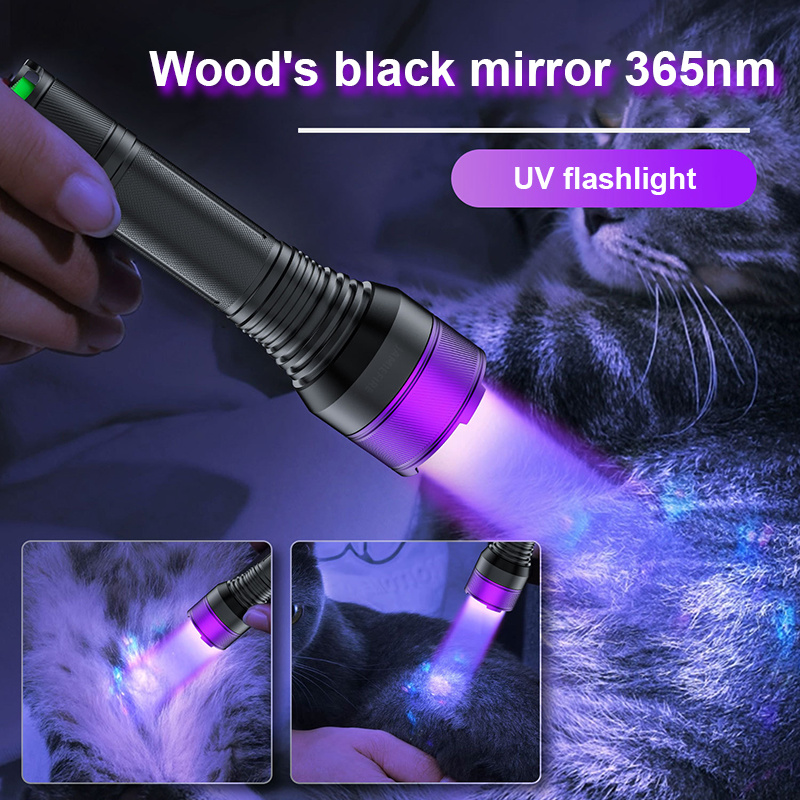 UV flashlight.jpg