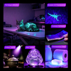 Helius UV12 12 LED UV Flashlight