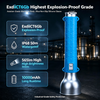 H7211 Highest Explosion-Proof Flashlight (ExdIICT6) – For Chemical Plants & Gas Stations